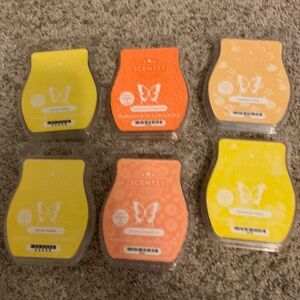 Scentsy citrus wax bars